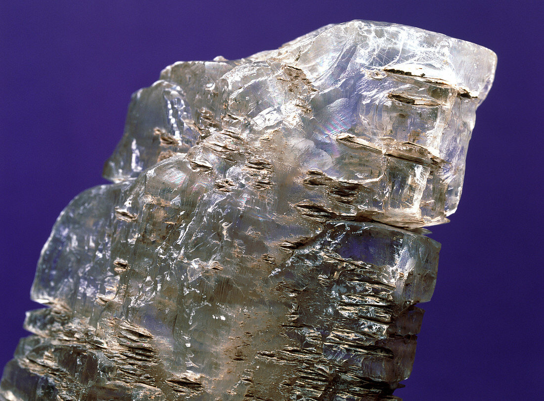 View of a sample of selenite,a form of gypsum