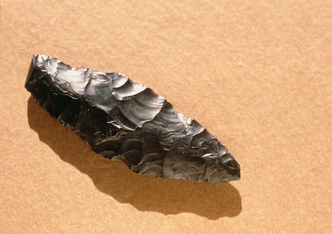 A Levallois flake or point made by Neanderthal man