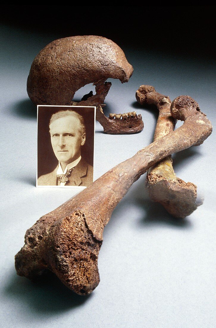 Portrait of Arthur Keith and Galley Hill skeleton