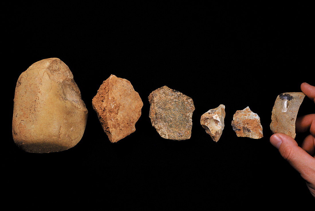 Stone tools,Gran Dolina