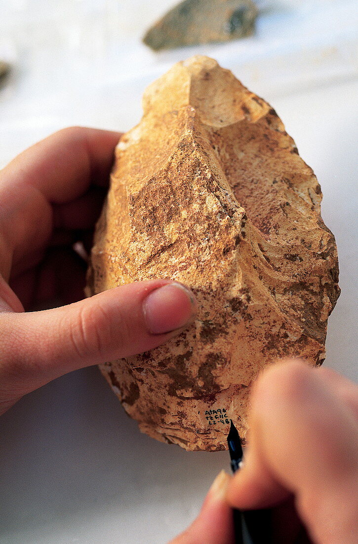 Stone tool,Gran Dolina