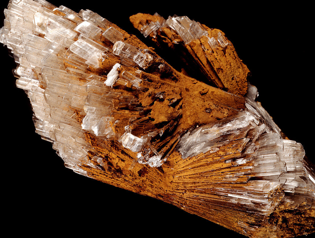 Gypsum and limonite minerals