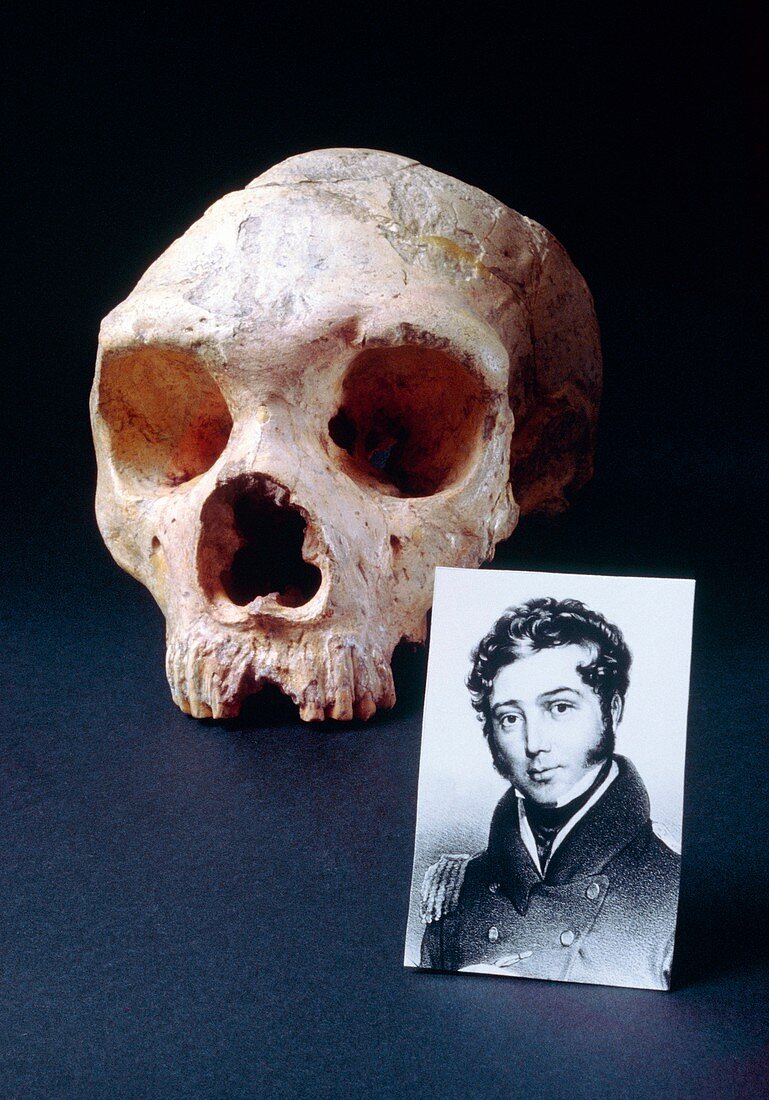 Composite: George Busk and skull of Gibraltar man