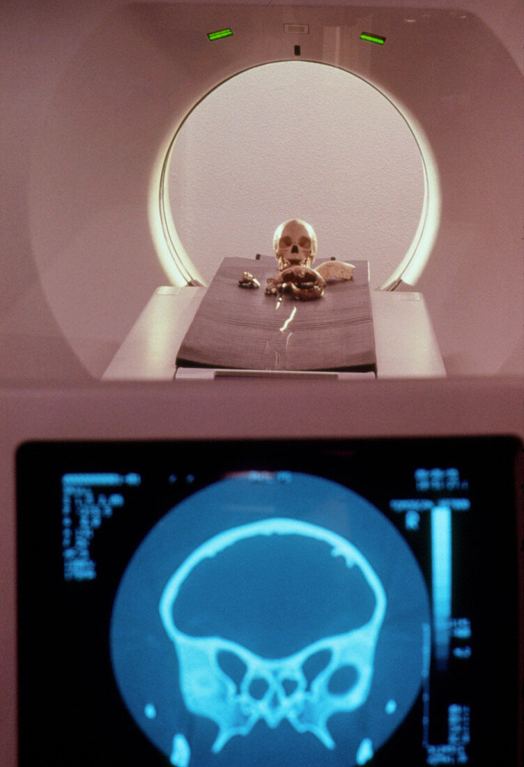 CT scanning of neanderthal fragments & human skull
