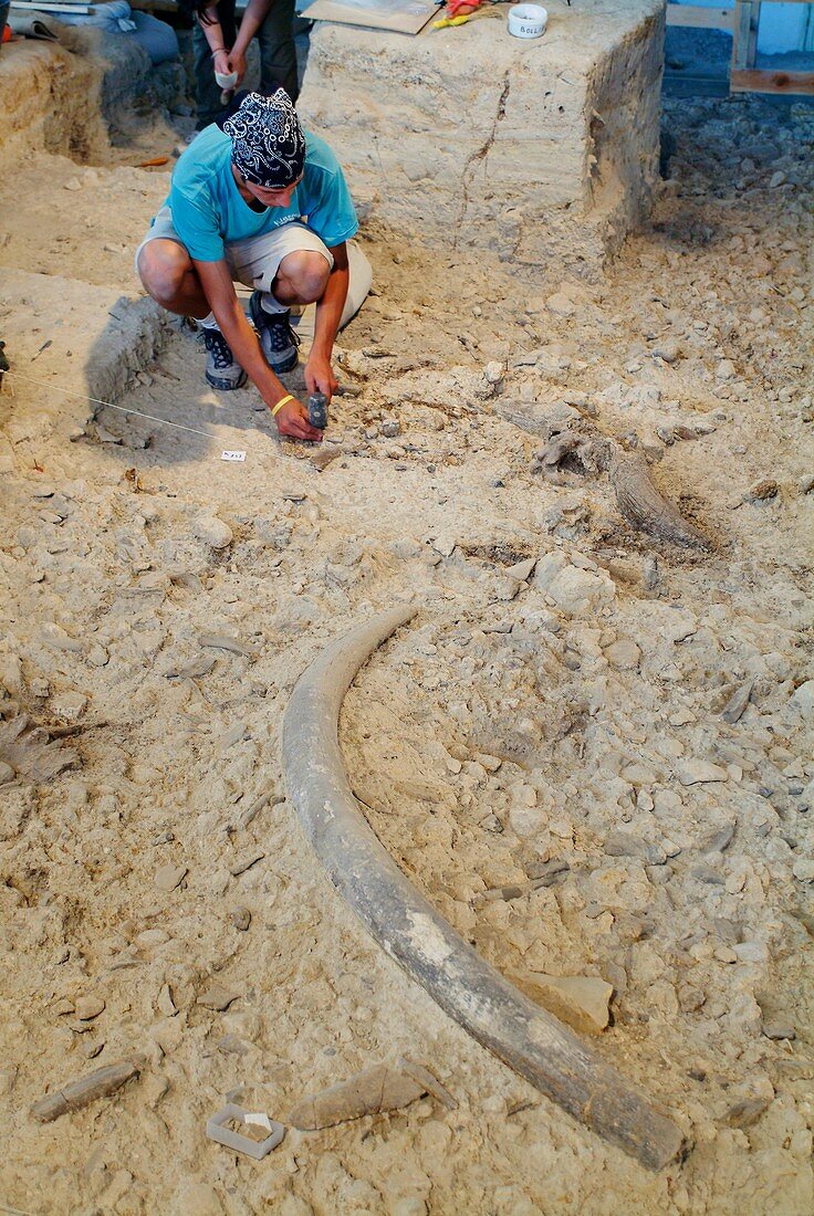 Excavation of a prehistoric site