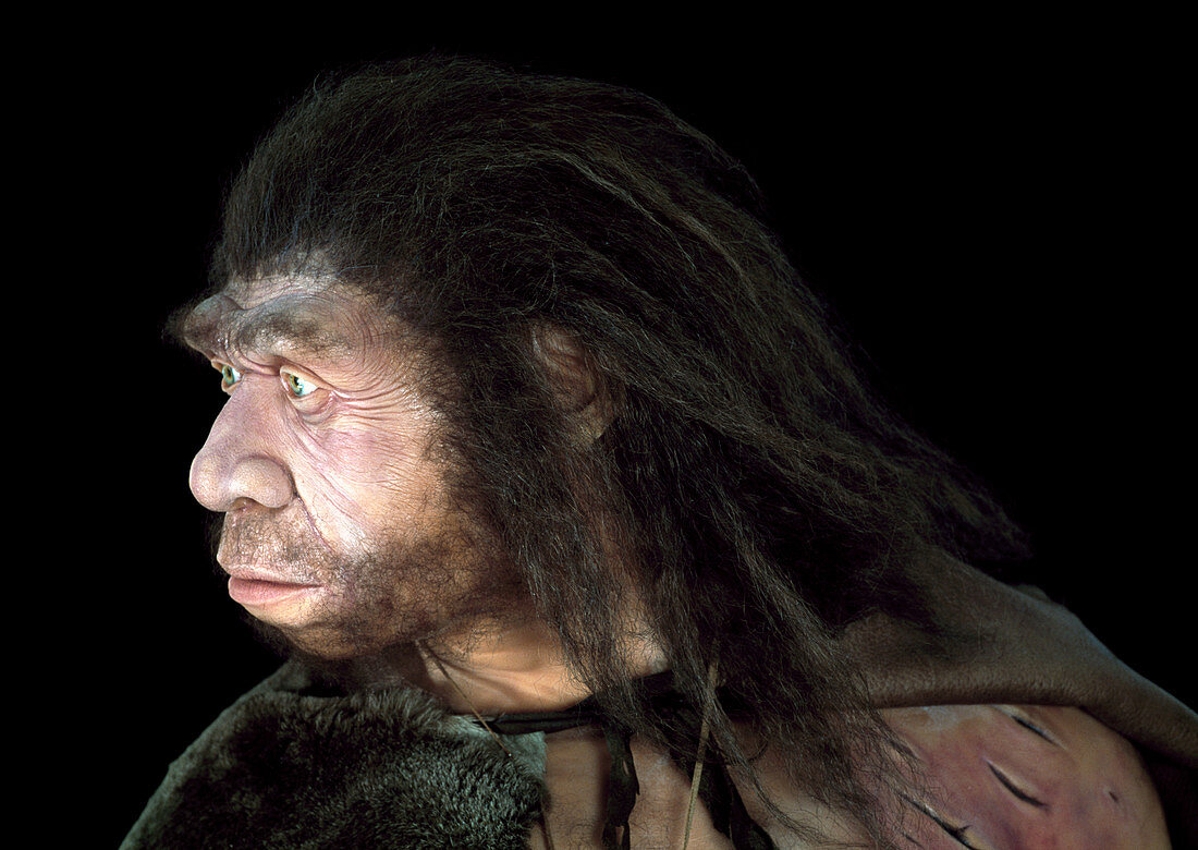 Neanderthal man