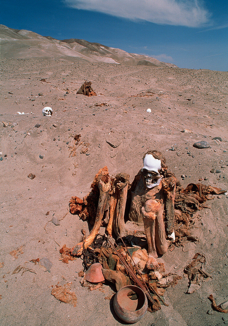 Peruvian mummy