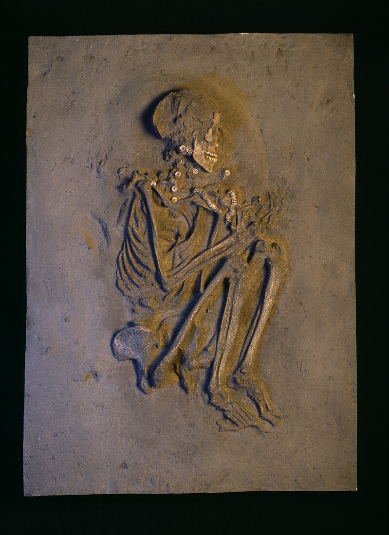 Stone age human skeleton