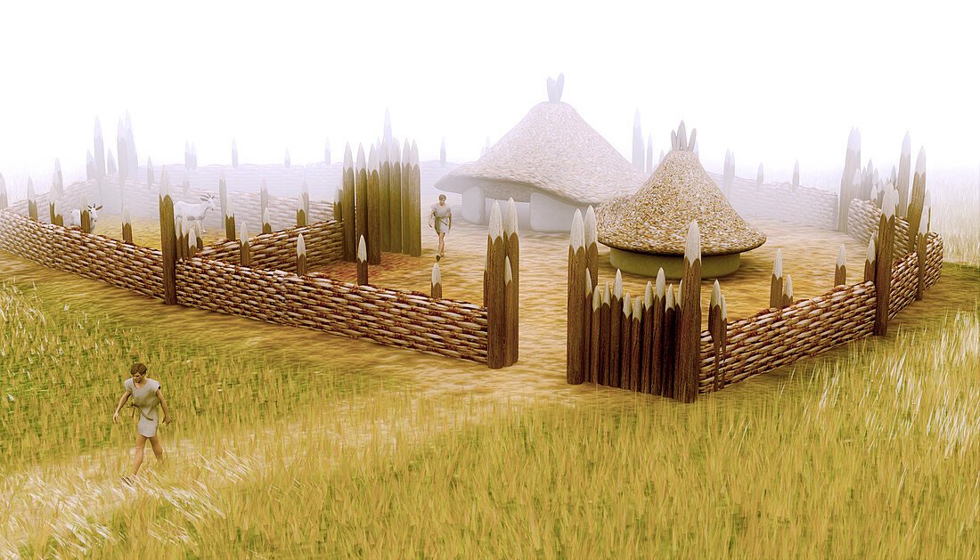 Iron age village
