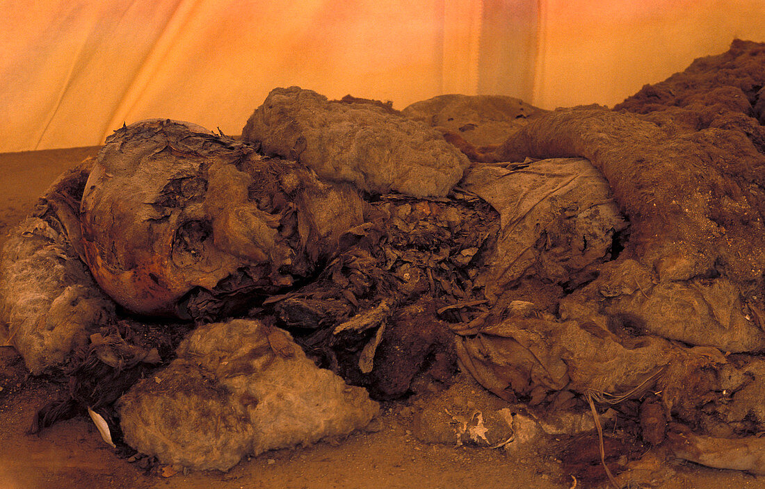 Mummified remains from Al-Fustat,Egypt