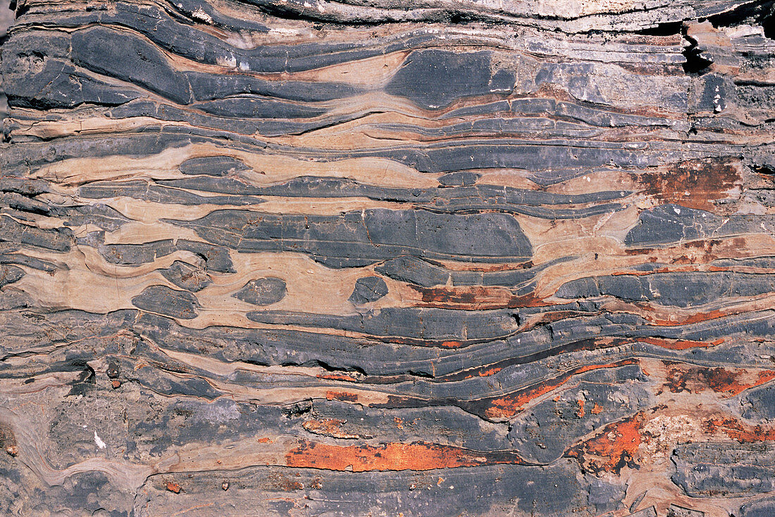 Precambrian stromatolites
