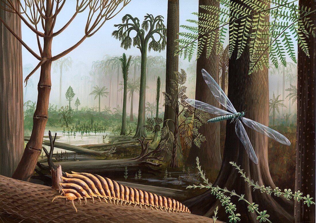 Carboniferous insects,artwork
