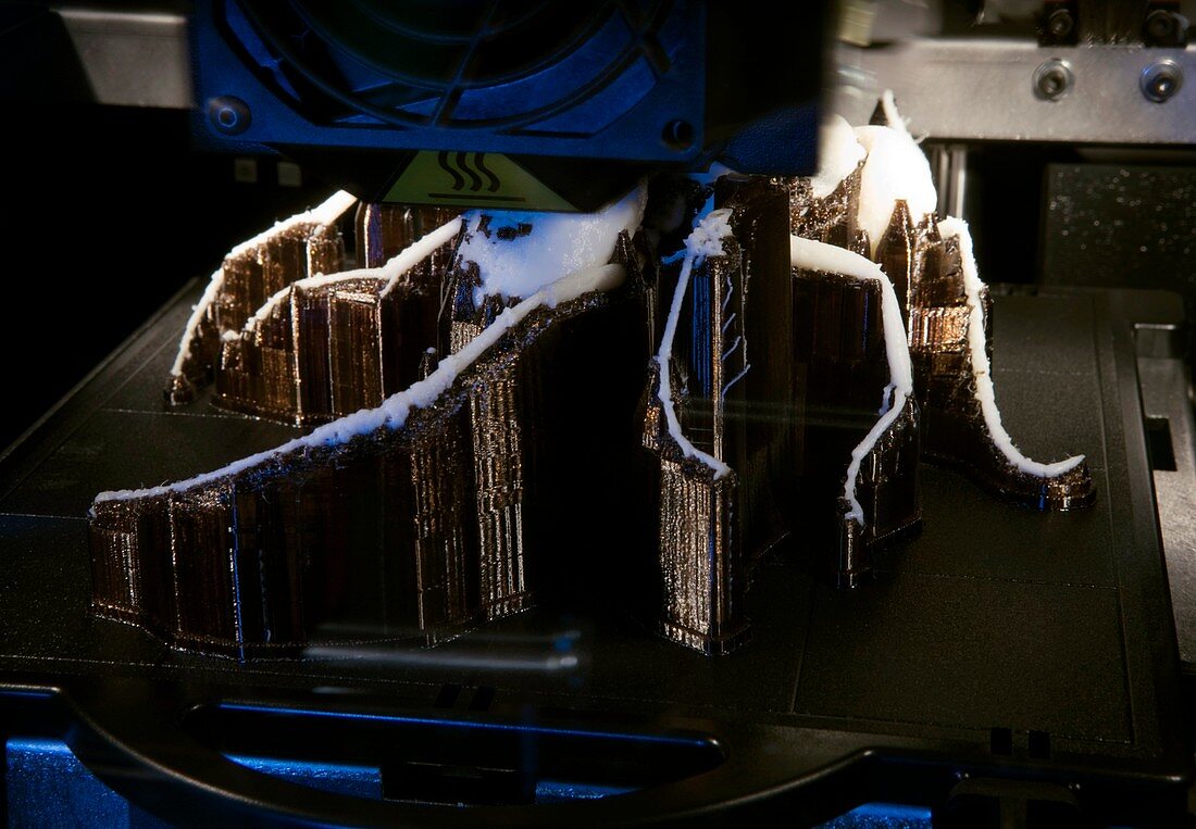 3-D printer printing a prehistoric ant