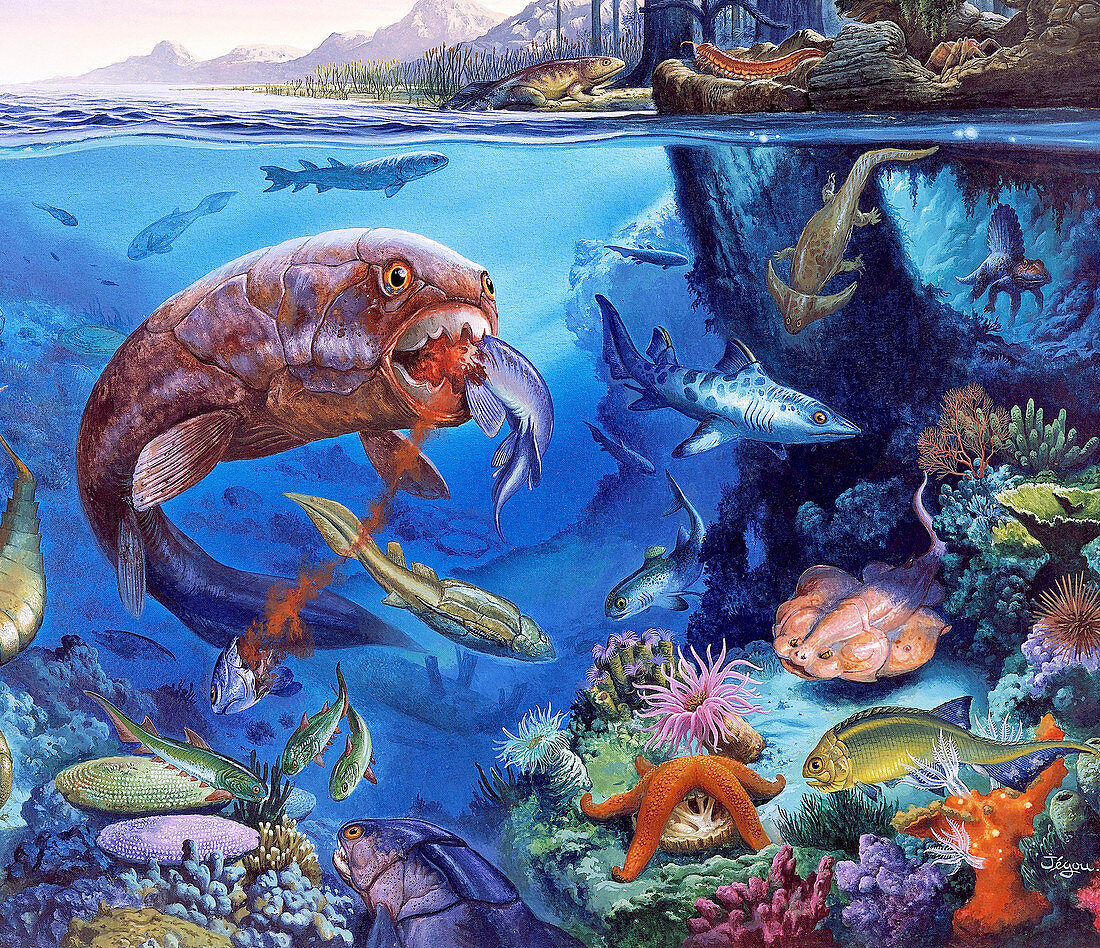 Palaeozoic marine animals