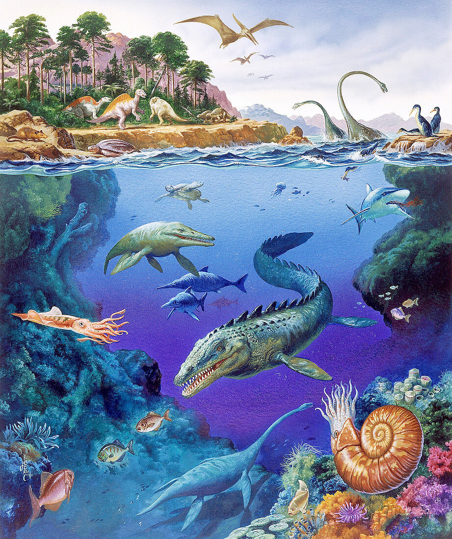 Cretaceous period fauna