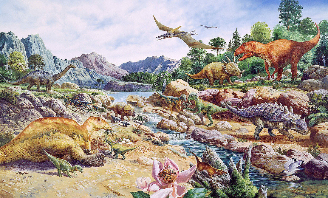 Cretaceous fauna
