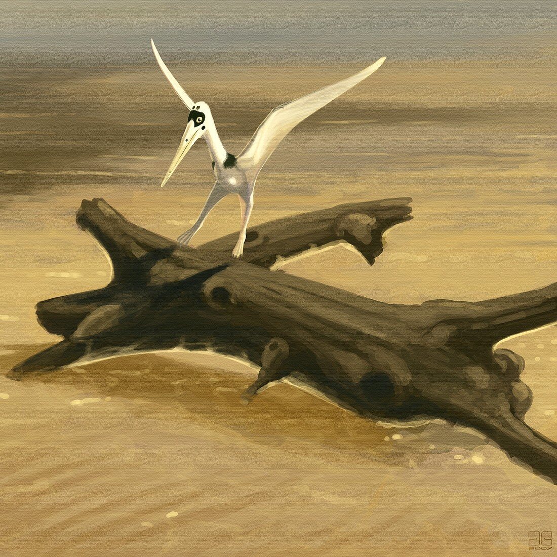Pterosaur (Pterodactylus kochi),artwork
