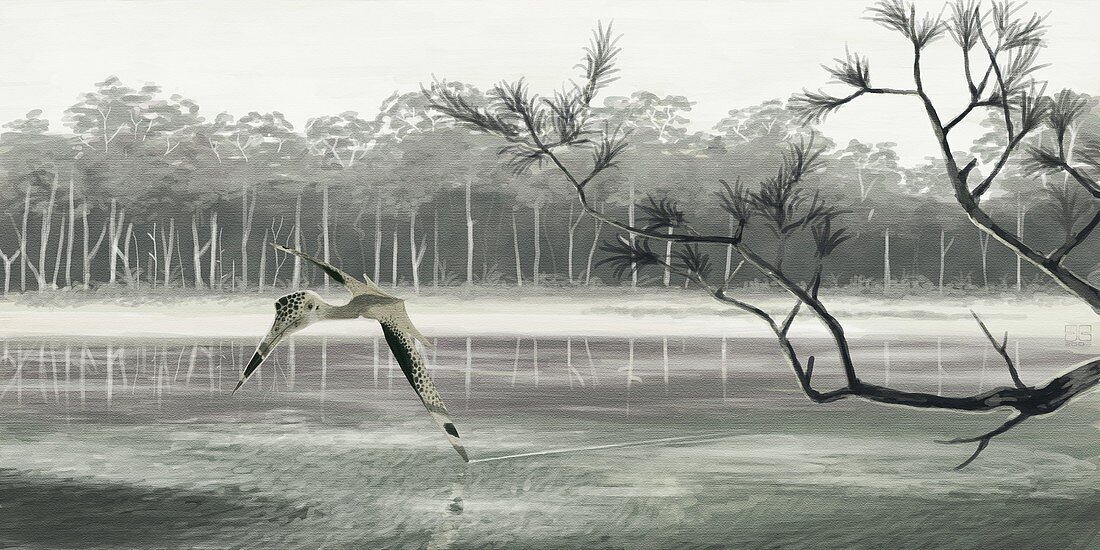 Pterosaur (Quetzalcoatlus sp.),artwork