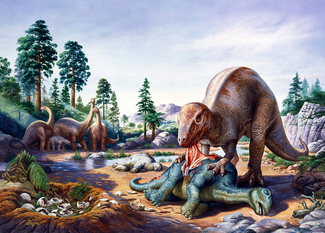 Art of a Tyrannosaurus rex eating a Titanosaur