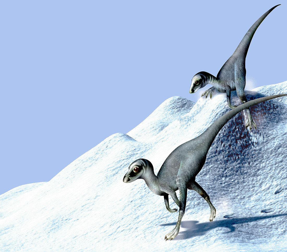 Dinosaurs in snow