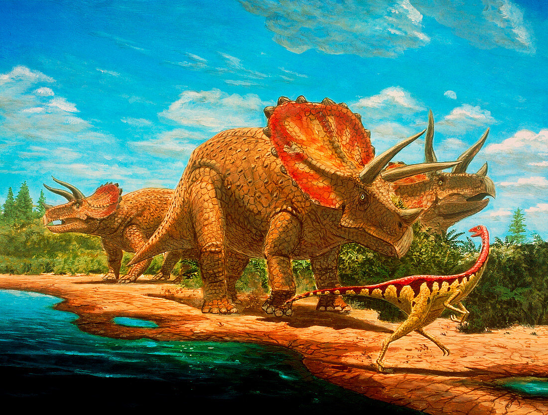 Cretaceous dinosaurs