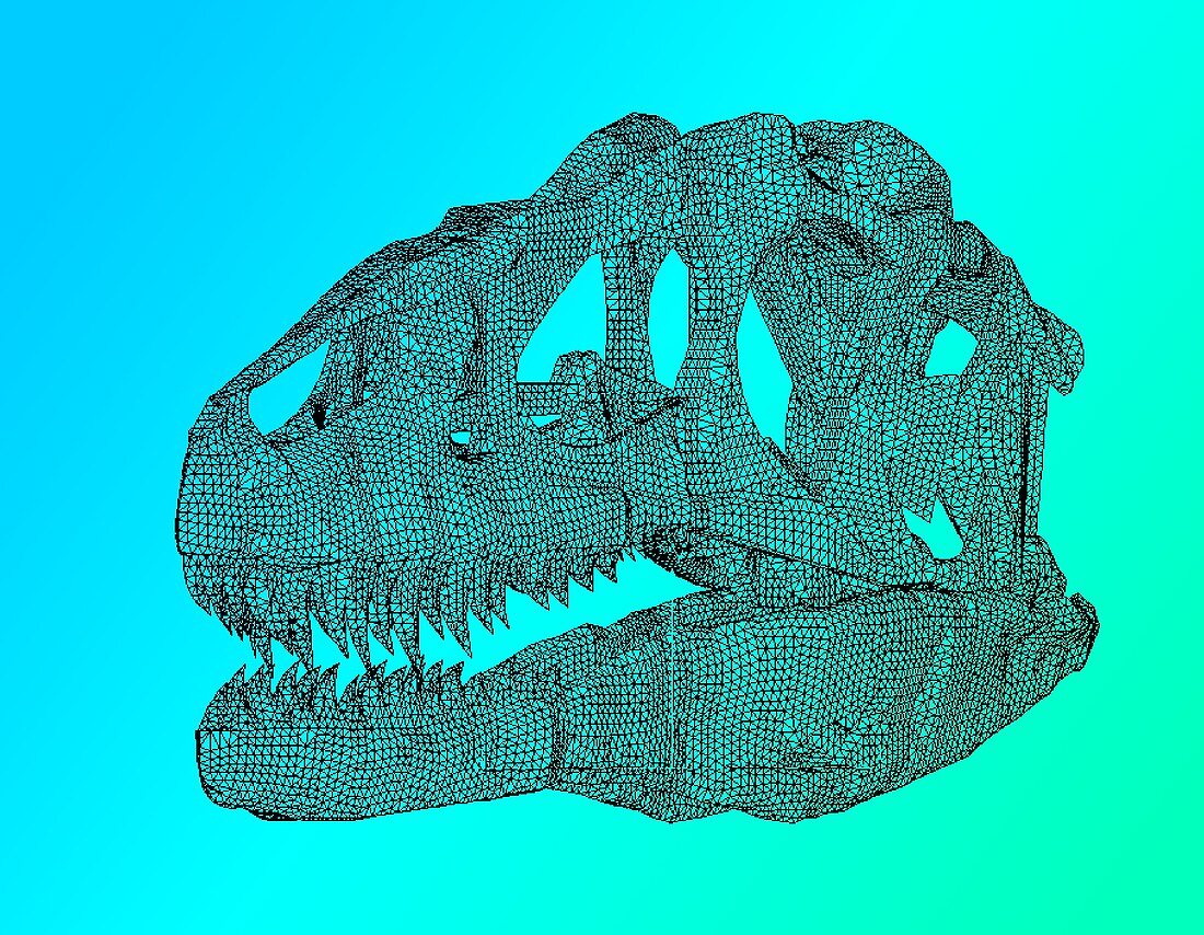 Dinosaur skull computer model