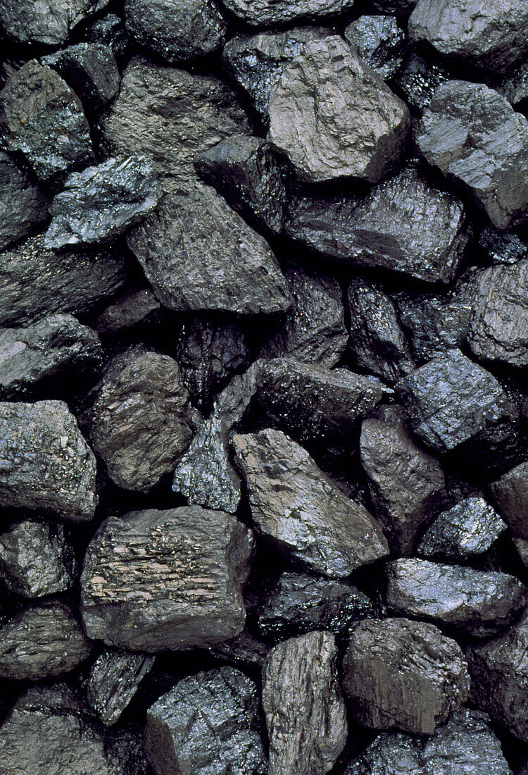 High-grade,low-sulphur coal from British Columbia