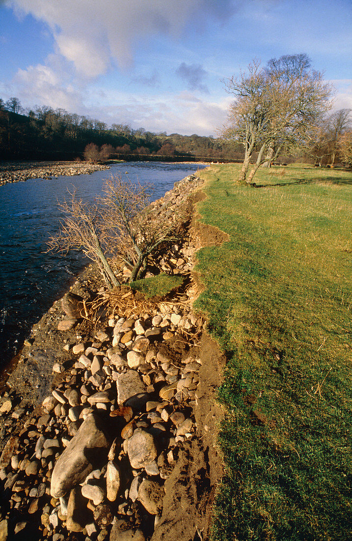 Erosion of a riverbank