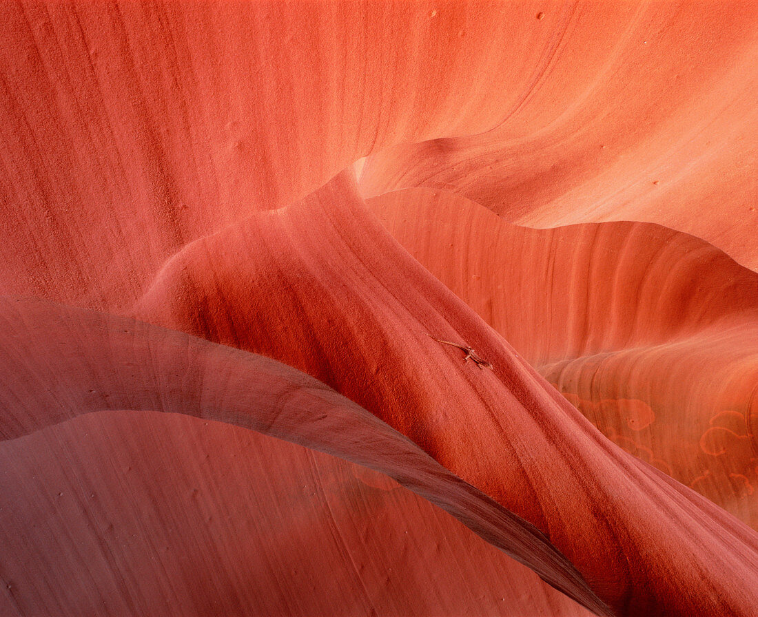 Slot canyon Arizona,USA