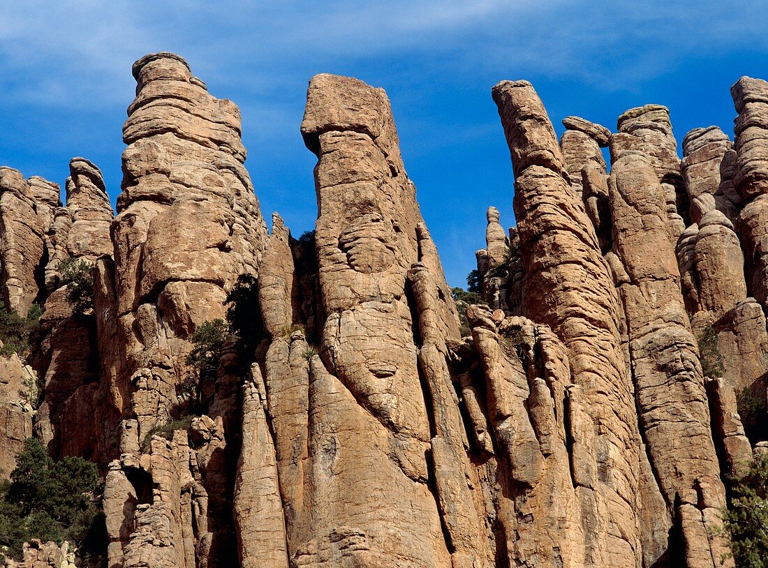 Sandstone rocks,columns