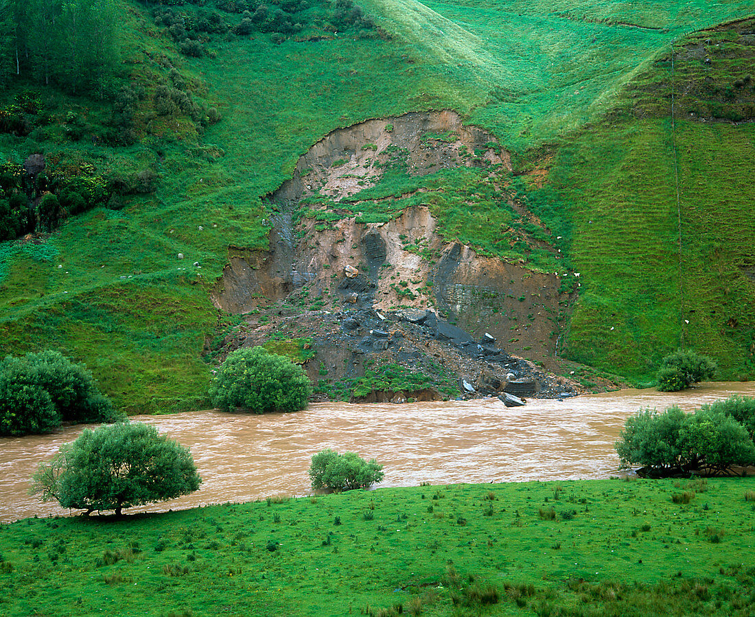 Flooded river eroding its bank