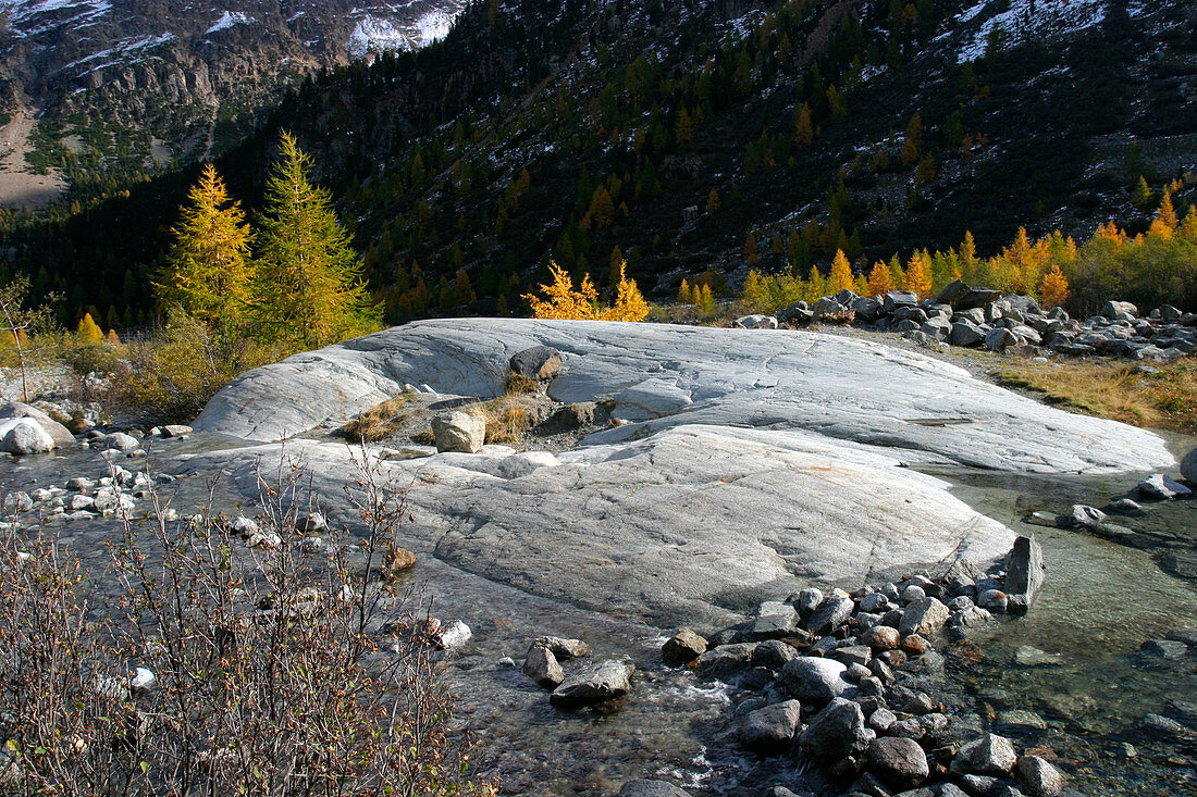 Rocks eroded by the Morteratsch glacier