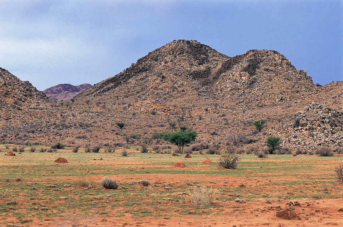 Granite landscape