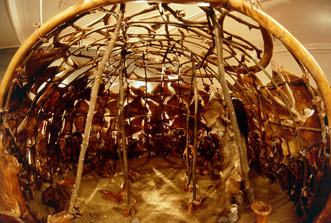 Palaeolithic hut made from mammoth bones