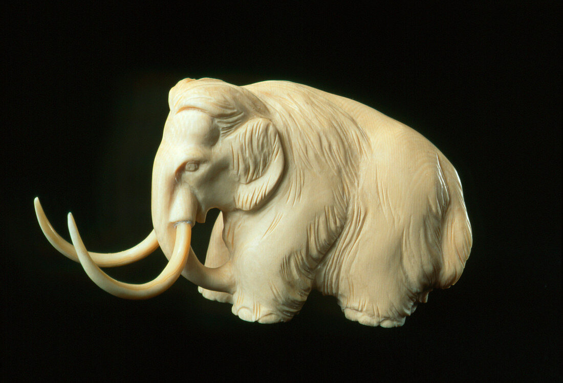 Mammoth figure sculpted from the tusk of a mammoth