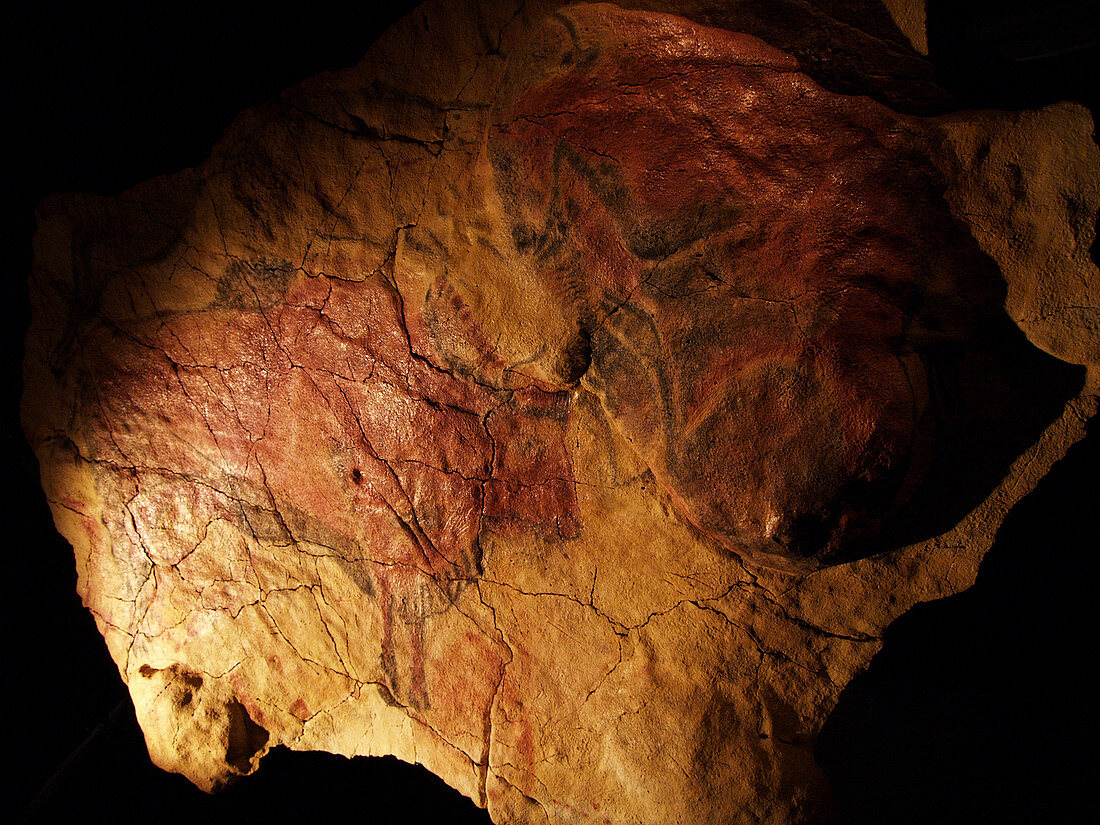 Altamira cave painting of bisons