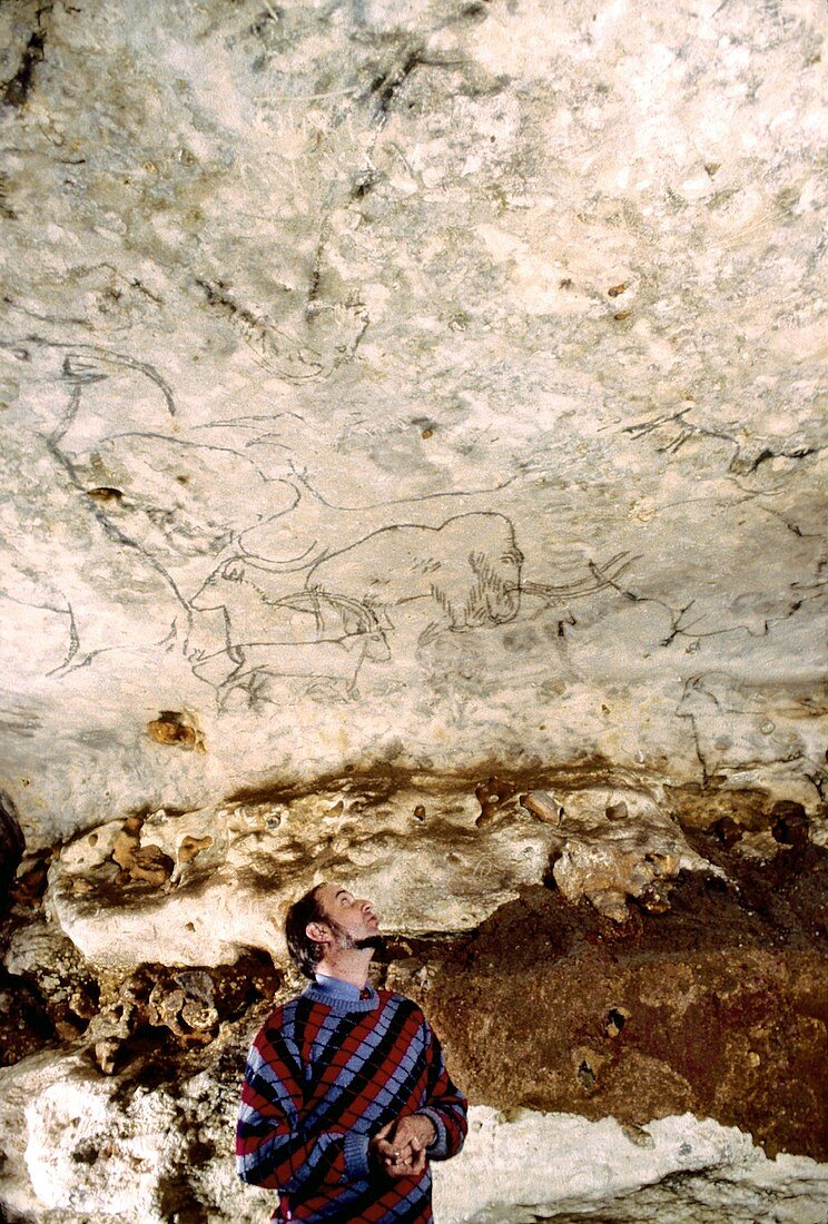 Cave paintings,Dordogne,France
