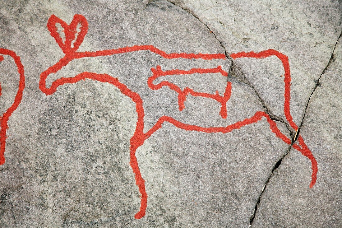 Prehistoric rock petroglyph