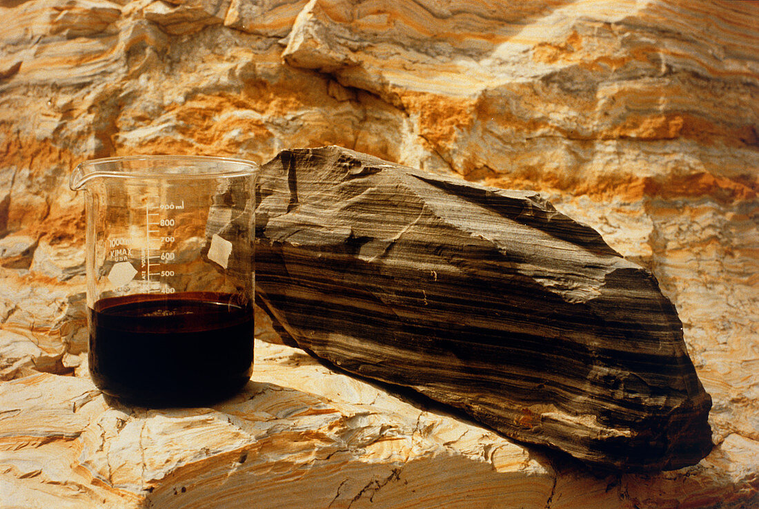 Block of oil shale