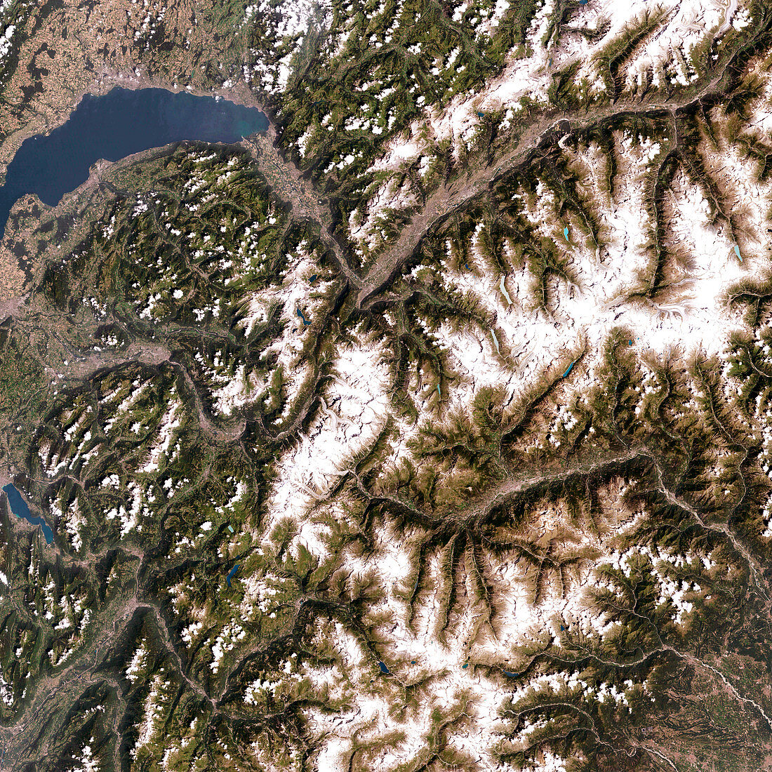 Mont Blanc,satellite image