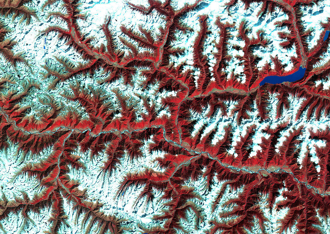 Eastern Himalayas,satellite image
