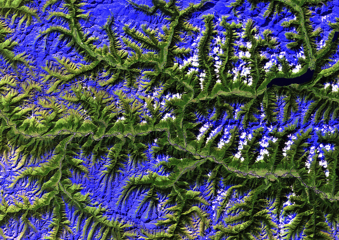 Eastern Himalayas,satellite image
