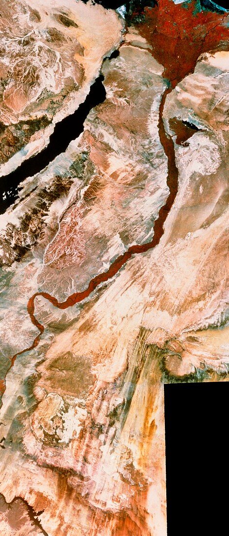 Landsat mosaic of river Nile and Delta