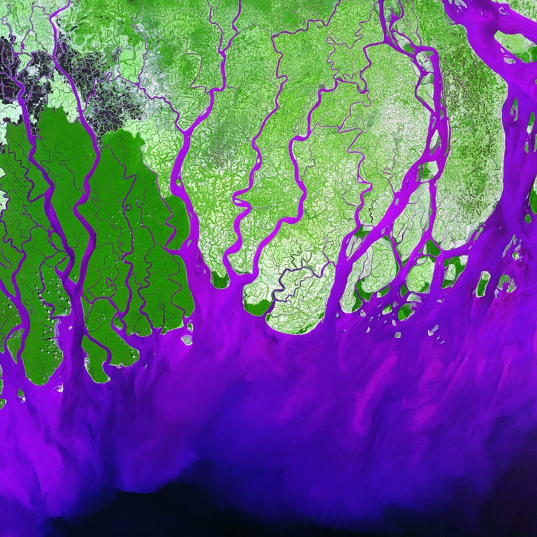 Ganges Delta