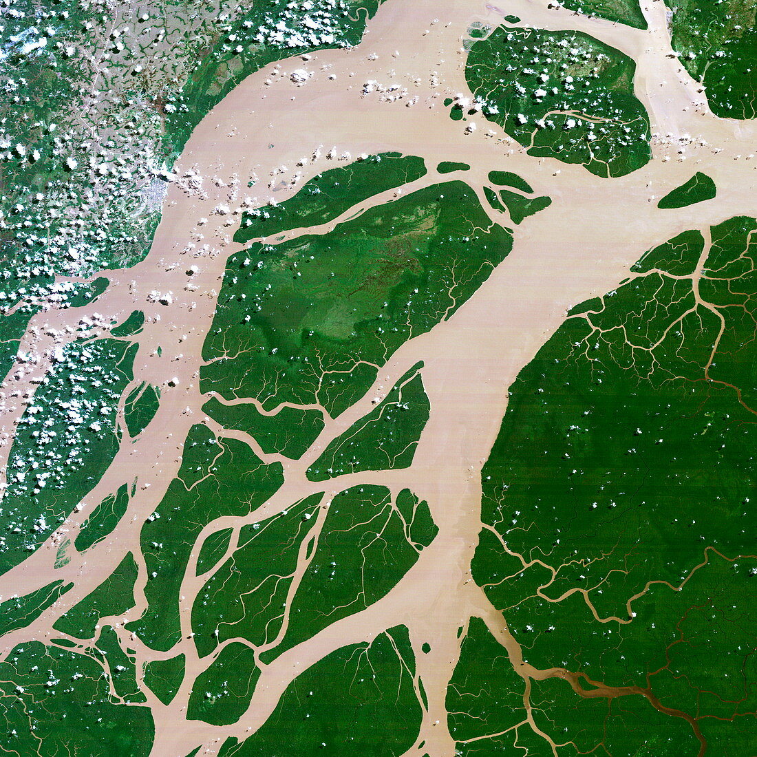 Amazon delta,Brazil