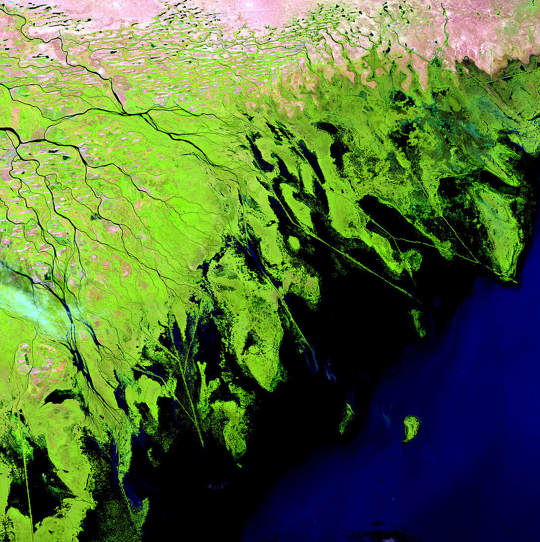 Volga Delta,satellite image