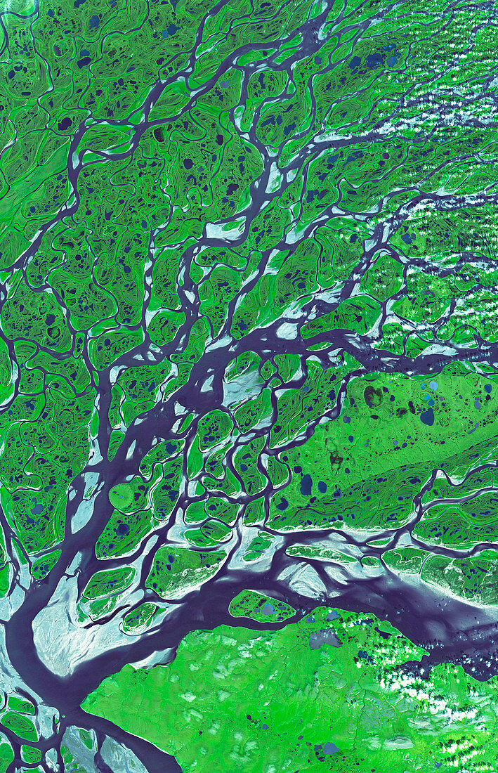 Lena River Delta,satellite image