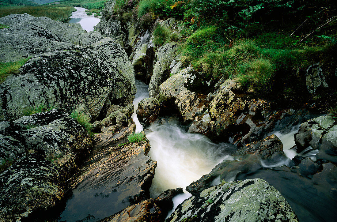 Mountain river in the Cambria Mountains,Wales