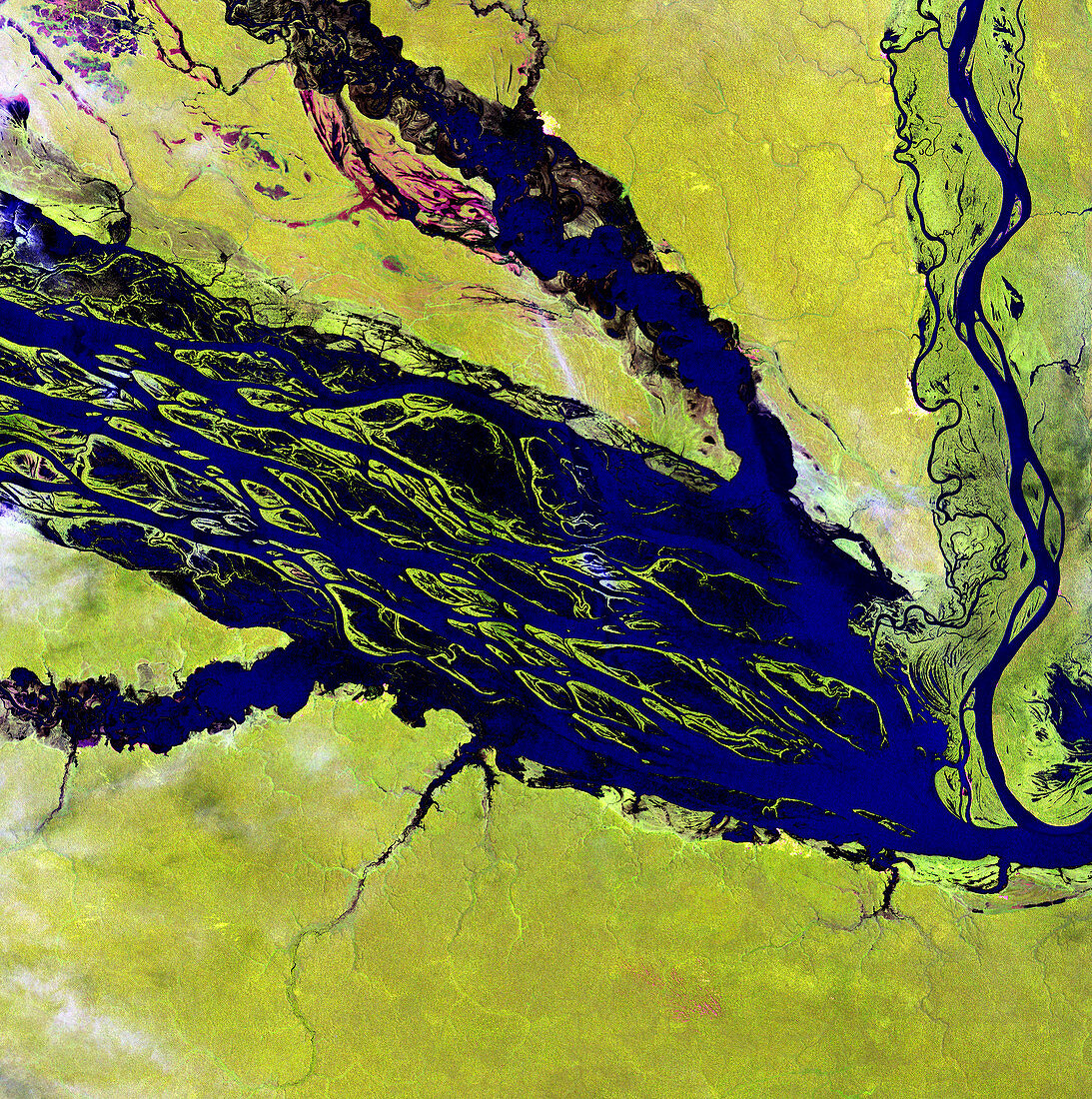 Amazon Basin river,satellite image