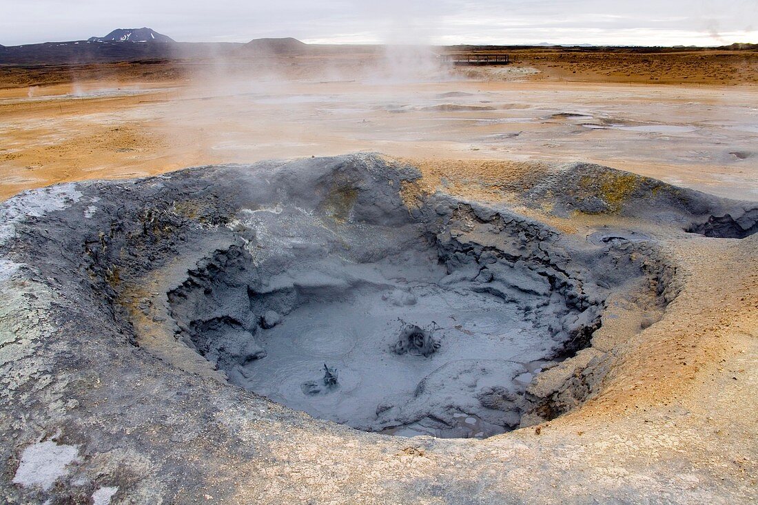 Geothermal mud pool,Iceland